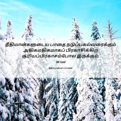 Picture 06 - நீதிமொழிகள் 4:18 TAMIRV - நீதிமான்களுடைய - Bible Verse Picture