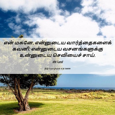 Picture 06 - நீதிமொழிகள் 4:20 TAMIRV - என் மகனே, என்னுடைய - Bible Verse Picture