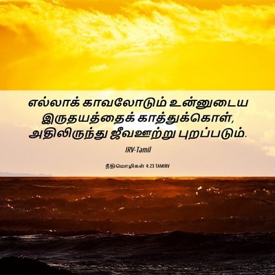 Picture 06 - நீதிமொழிகள் 4:23 TAMIRV - எல்லாக் காவலோடும் - Bible Verse Picture