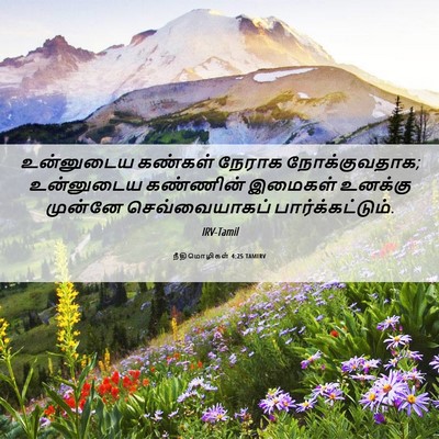 Picture 06 - நீதிமொழிகள் 4:25 TAMIRV - உன்னுடைய கண்கள் - Bible Verse Picture