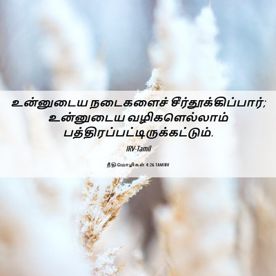 Picture 06 - நீதிமொழிகள் 4:26 TAMIRV - உன்னுடைய நடைகளைச் - Bible Verse Picture