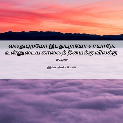 Picture 06 - நீதிமொழிகள் 4:27 TAMIRV - வலதுபுறமோ - Bible Verse Picture