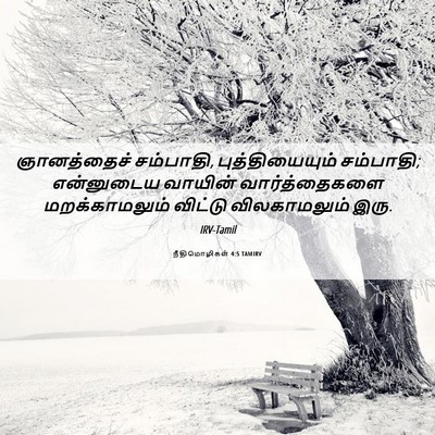 Picture 06 - நீதிமொழிகள் 4:5 TAMIRV - ஞானத்தைச் - Bible Verse Picture