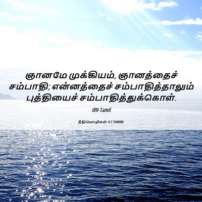Picture 06 - நீதிமொழிகள் 4:7 TAMIRV - ஞானமே முக்கியம், - Bible Verse Picture