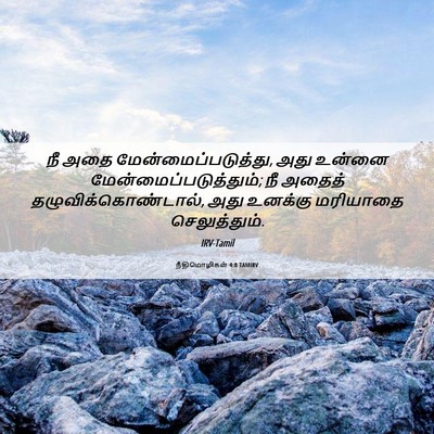 Picture 06 - நீதிமொழிகள் 4:8 TAMIRV - நீ அதை - Bible Verse Picture