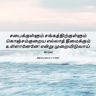 Picture 06 - நீதிமொழிகள் 5:14 TAMIRV - சபைக்குள்ளும் - Bible Verse Picture