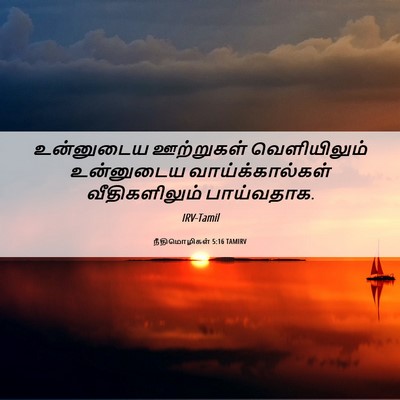 Picture 06 - நீதிமொழிகள் 5:16 TAMIRV - உன்னுடைய ஊற்றுகள் - Bible Verse Picture