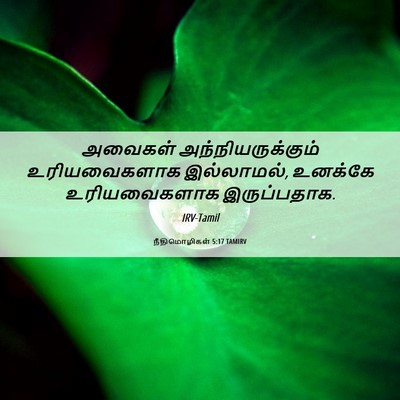 Picture 06 - நீதிமொழிகள் 5:17 TAMIRV - அவைகள் - Bible Verse Picture