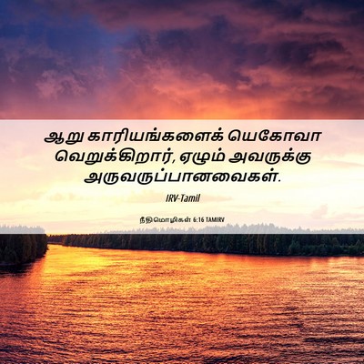 Picture 06 - நீதிமொழிகள் 6:16 TAMIRV - ஆறு காரியங்களைக் - Bible Verse Picture