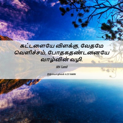 Picture 06 - நீதிமொழிகள் 6:23 TAMIRV - கட்டளையே விளக்கு, - Bible Verse Picture