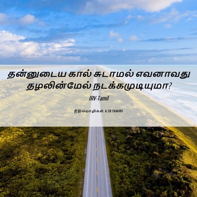 Picture 06 - நீதிமொழிகள் 6:28 TAMIRV - தன்னுடைய கால் - Bible Verse Picture