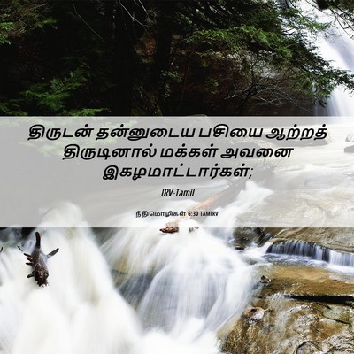 Picture 06 - நீதிமொழிகள் 6:30 TAMIRV - திருடன் தன்னுடைய - Bible Verse Picture