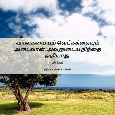 Picture 06 - நீதிமொழிகள் 6:33 TAMIRV - வாதையையும் - Bible Verse Picture