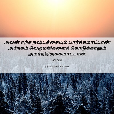 Picture 06 - நீதிமொழிகள் 6:35 TAMIRV - அவன் எந்த - Bible Verse Picture