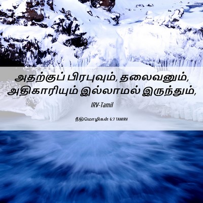 Picture 06 - நீதிமொழிகள் 6:7 TAMIRV - அதற்குப் - Bible Verse Picture