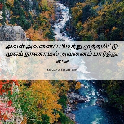 Picture 06 - நீதிமொழிகள் 7:13 TAMIRV - அவள் அவனைப் - Bible Verse Picture
