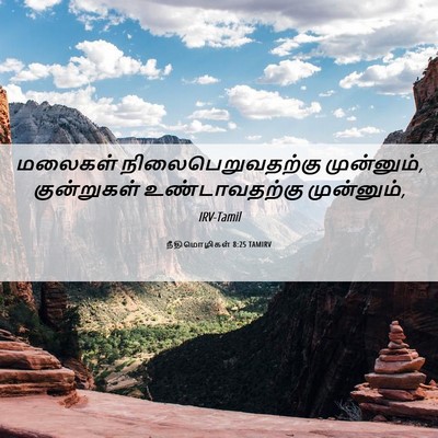 Picture 06 - நீதிமொழிகள் 8:25 TAMIRV - மலைகள் - Bible Verse Picture
