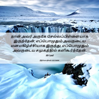 Picture 06 - நீதிமொழிகள் 8:30 TAMIRV - நான் அவர் அருகே - Bible Verse Picture