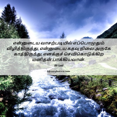 Picture 06 - நீதிமொழிகள் 8:34 TAMIRV - என்னுடைய - Bible Verse Picture