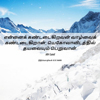 Picture 06 - நீதிமொழிகள் 8:35 TAMIRV - என்னைக் - Bible Verse Picture