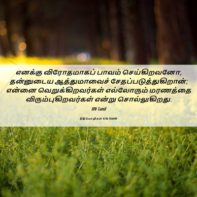 Picture 06 - நீதிமொழிகள் 8:36 TAMIRV - எனக்கு விரோதமாகப் - Bible Verse Picture