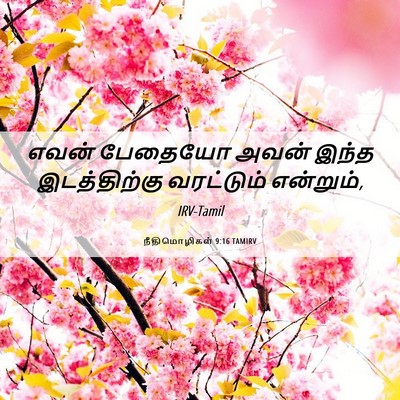 Picture 06 - நீதிமொழிகள் 9:16 TAMIRV - எவன் பேதையோ அவன் - Bible Verse Picture