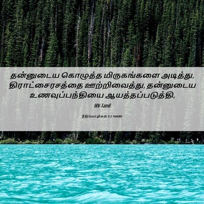 Picture 06 - நீதிமொழிகள் 9:2 TAMIRV - தன்னுடைய கொழுத்த - Bible Verse Picture