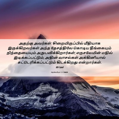 Picture 06 - நெகேமியா 1:3 TAMIRV - அதற்கு அவர்கள்: - Bible Verse Picture