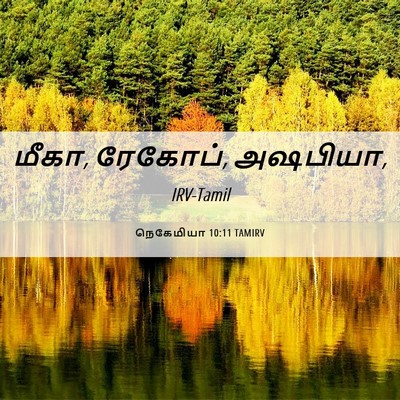 Picture 06 - நெகேமியா 10:11 TAMIRV - மீகா, ரேகோப், - Bible Verse Picture