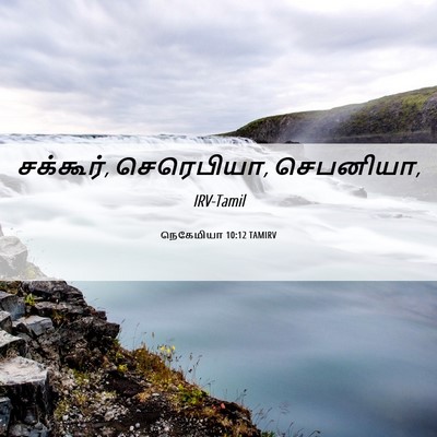 Picture 06 - நெகேமியா 10:12 TAMIRV - சக்கூர், செரெபியா, - Bible Verse Picture