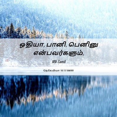 Picture 06 - நெகேமியா 10:13 TAMIRV - ஒதியா, பானி, பெனினு - Bible Verse Picture