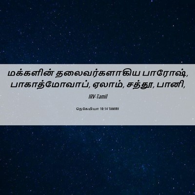 Picture 06 - நெகேமியா 10:14 TAMIRV - மக்களின் - Bible Verse Picture