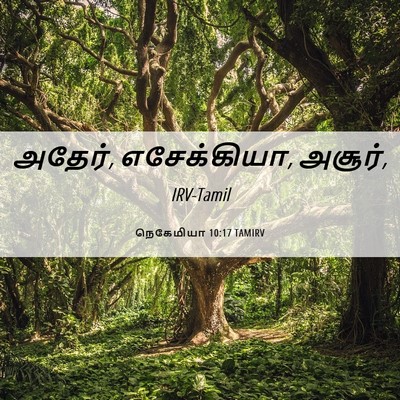 Picture 06 - நெகேமியா 10:17 TAMIRV - அதேர், எசேக்கியா, - Bible Verse Picture