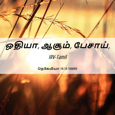 Picture 06 - நெகேமியா 10:18 TAMIRV - ஒதியா, ஆசூம், - Bible Verse Picture