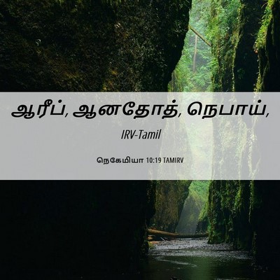 Picture 06 - நெகேமியா 10:19 TAMIRV - ஆரீப், ஆனதோத், - Bible Verse Picture