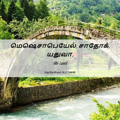 Picture 06 - நெகேமியா 10:21 TAMIRV - மெஷெசாபெயேல், - Bible Verse Picture