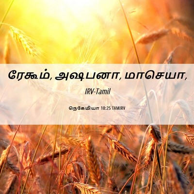 Picture 06 - நெகேமியா 10:25 TAMIRV - ரேகூம், அஷபனா, - Bible Verse Picture