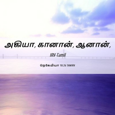 Picture 06 - நெகேமியா 10:26 TAMIRV - அகியா, கானான், - Bible Verse Picture