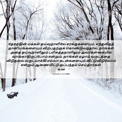 Picture 06 - நெகேமியா 10:31 TAMIRV - தேசத்தின் மக்கள் - Bible Verse Picture