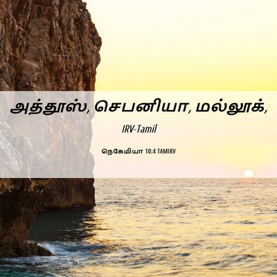 Picture 06 - நெகேமியா 10:4 TAMIRV - அத்தூஸ், செபனியா, - Bible Verse Picture