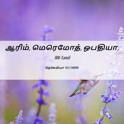 Picture 06 - நெகேமியா 10:5 TAMIRV - ஆரிம், மெரெமோத், - Bible Verse Picture