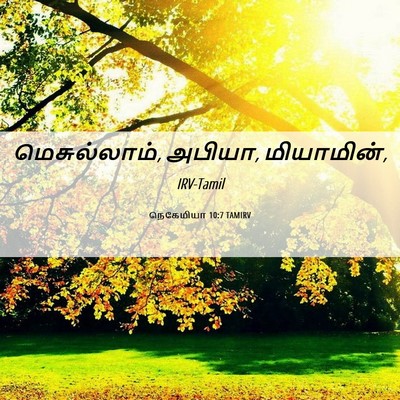 Picture 06 - நெகேமியா 10:7 TAMIRV - மெசுல்லாம், அபியா, - Bible Verse Picture