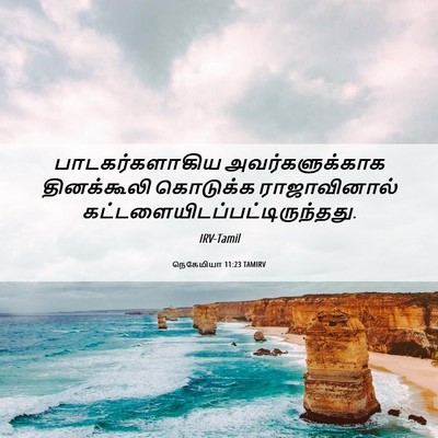 Picture 06 - நெகேமியா 11:23 TAMIRV - பாடகர்களாகிய - Bible Verse Picture