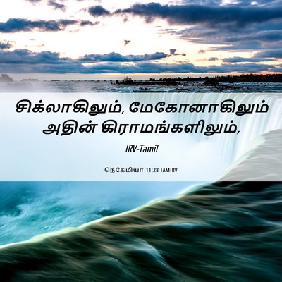 Picture 06 - நெகேமியா 11:28 TAMIRV - சிக்லாகிலும், - Bible Verse Picture