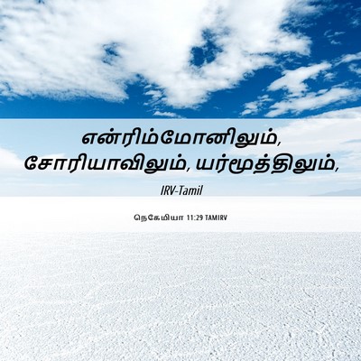 Picture 06 - நெகேமியா 11:29 TAMIRV - என்ரிம்மோனிலும், - Bible Verse Picture