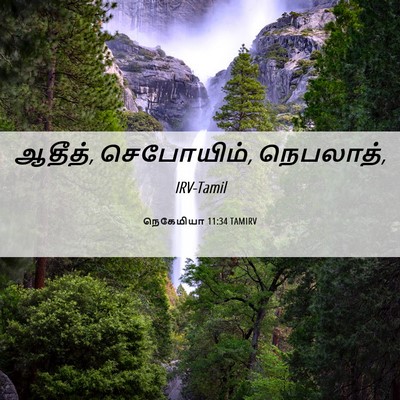Picture 06 - நெகேமியா 11:34 TAMIRV - ஆதீத், செபோயிம், - Bible Verse Picture