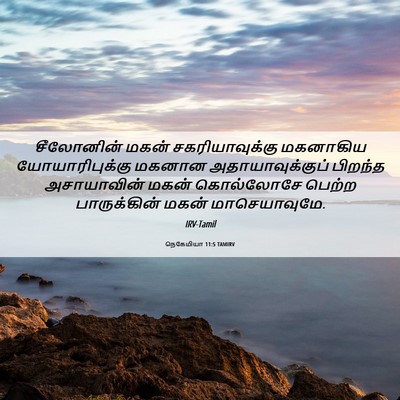 Picture 06 - நெகேமியா 11:5 TAMIRV - சீலோனின் மகன் - Bible Verse Picture
