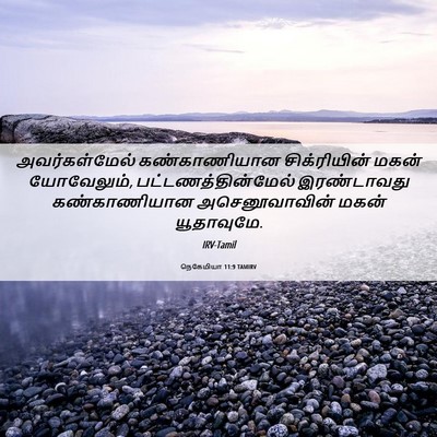 Picture 06 - நெகேமியா 11:9 TAMIRV - அவர்கள்மேல் - Bible Verse Picture