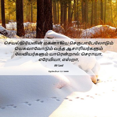 Picture 06 - நெகேமியா 12:1 TAMIRV - செயல்தியேலின் - Bible Verse Picture