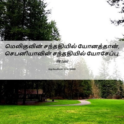 Picture 06 - நெகேமியா 12:14 TAMIRV - மெலிகுவின் - Bible Verse Picture